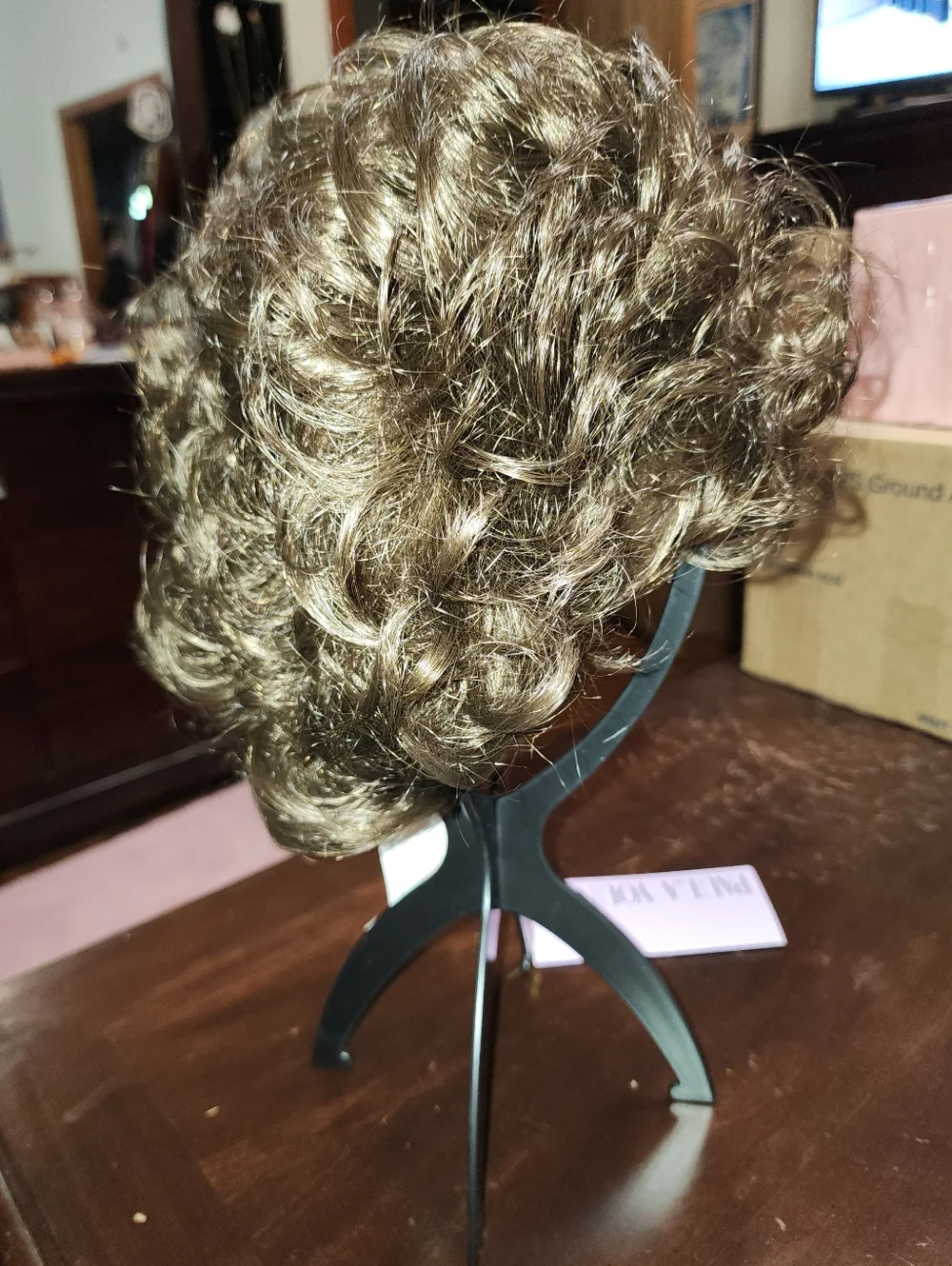 Paula Young Trisha Wig in Medium Brown